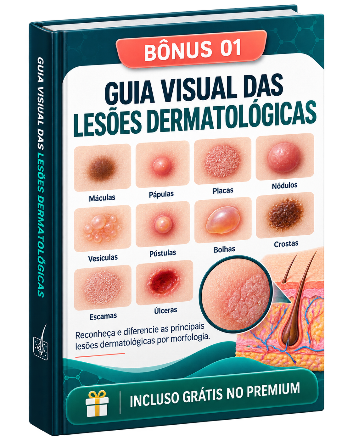 Bônus 01 — Guia Visual das Lesões Dermatológicas